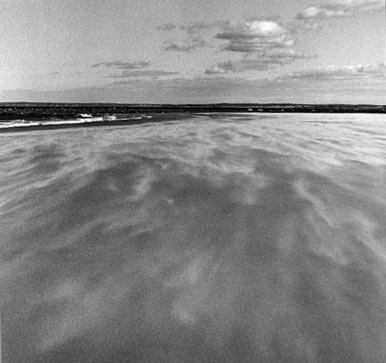 Plum Island moving sand