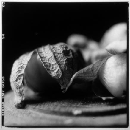 cadence: tomatillos