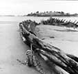 Crane Beach shipwreck